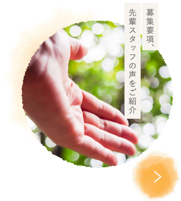 募集要項、先輩スタッフの声をご紹介