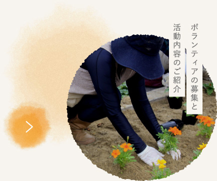 ボランティアの募集と活動内容のご紹介